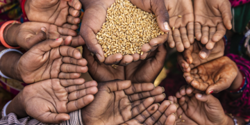 Causes of food and fertilizer shortages