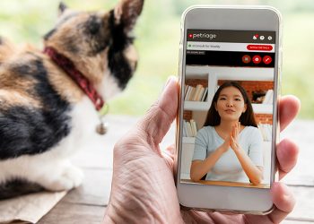 Insurance Technology