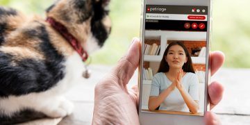 Insurance Technology